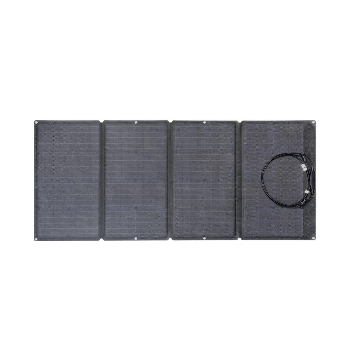 EcoFlow 160W Portable Solar Panel*2 - Flash Sale