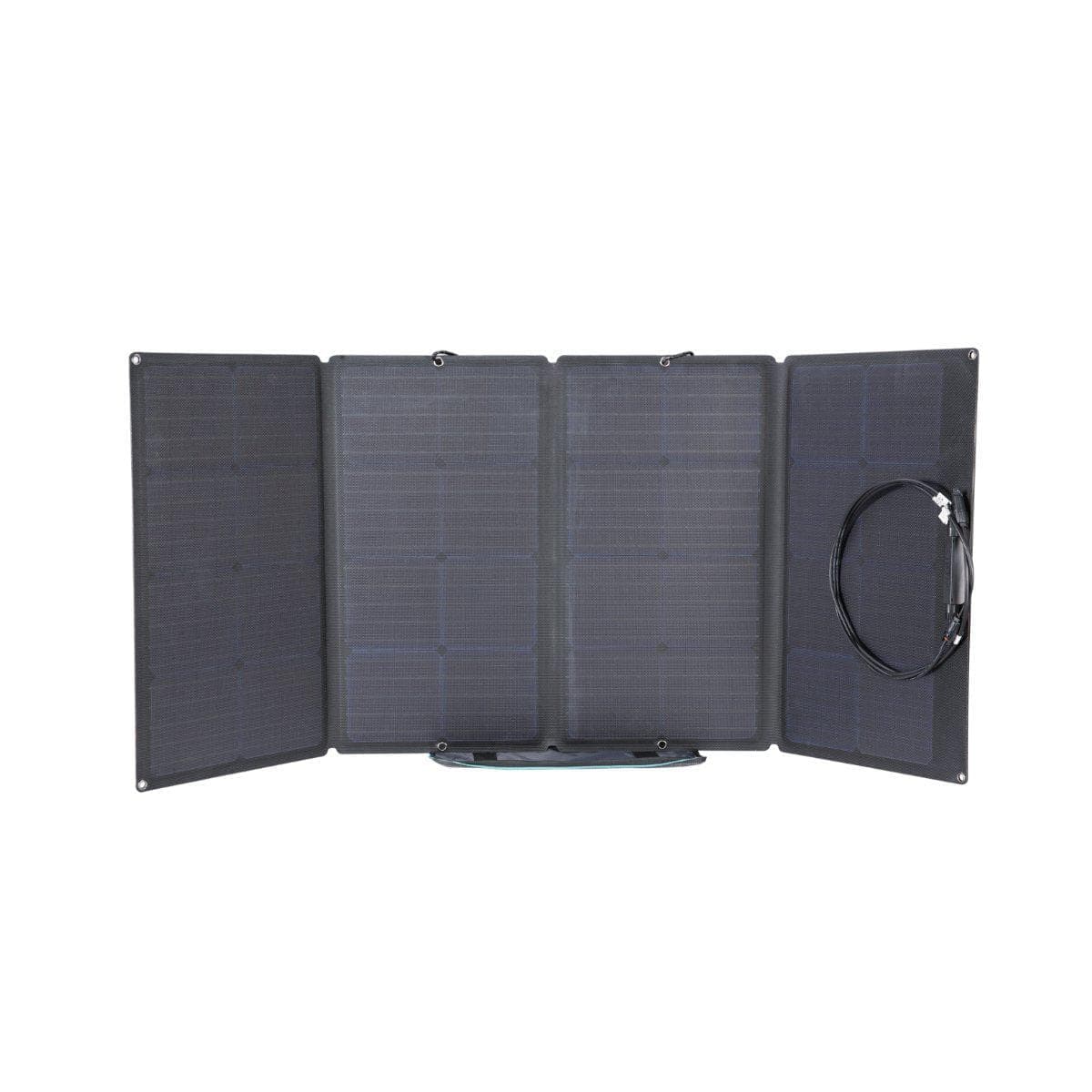 EcoFlow 160W Portable Solar Panel*2 - Flash Sale